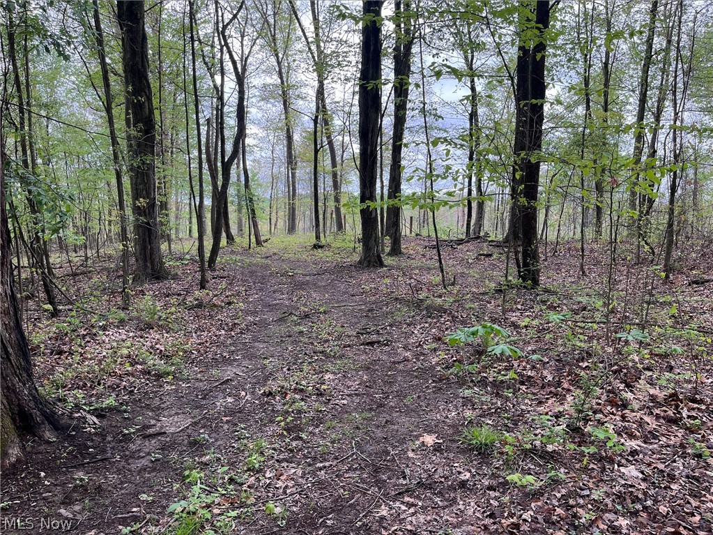 Sandy Ridge Road Tippecanoe, OH 44699 - Photo 11 of 21