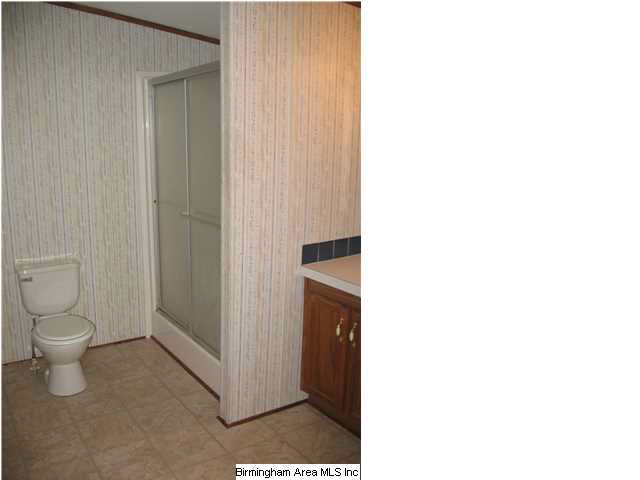 3289 Mt Moriah Road South Pell City, AL 35125 - Photo 7 of 8