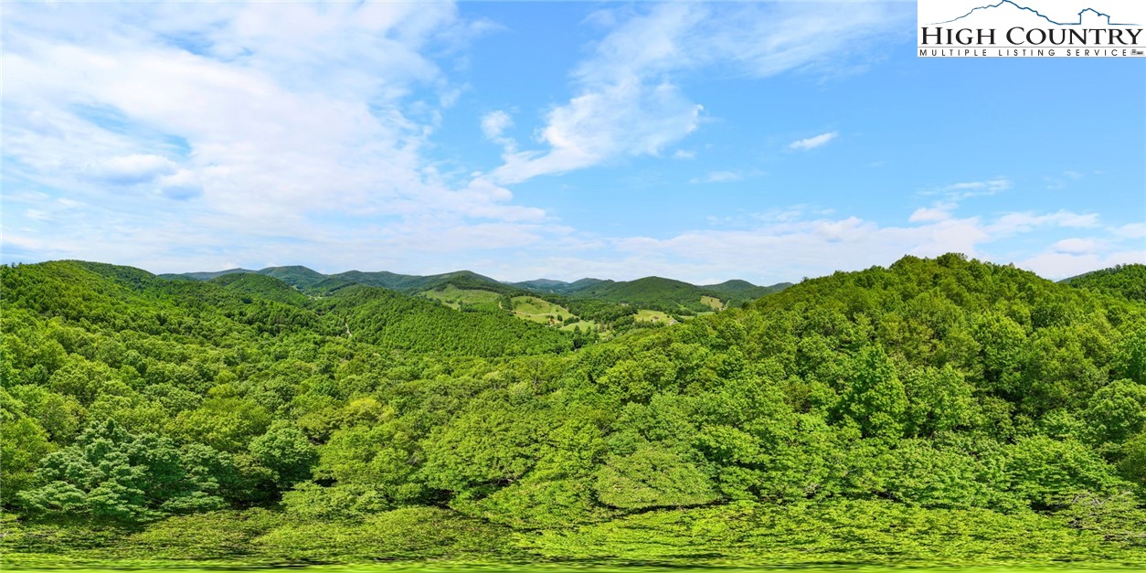 T-1 Grace Mountain Road Todd, NC 28684 - Photo 7 of 28 a view of a lush green space with sea