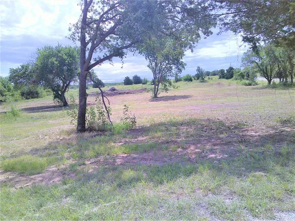 a view of backyard with green space