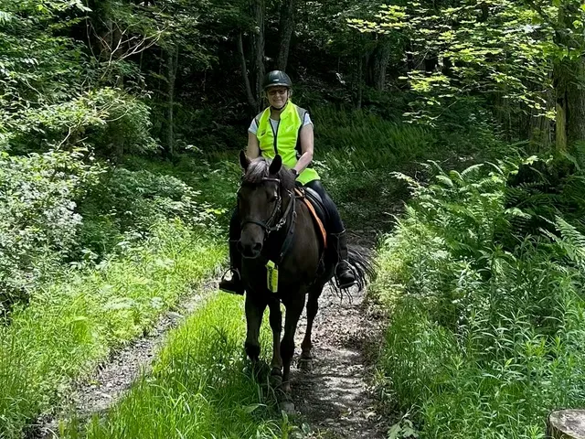 $299,999 | 320 West Rowe Hill Road, West Windsor, VT 05037