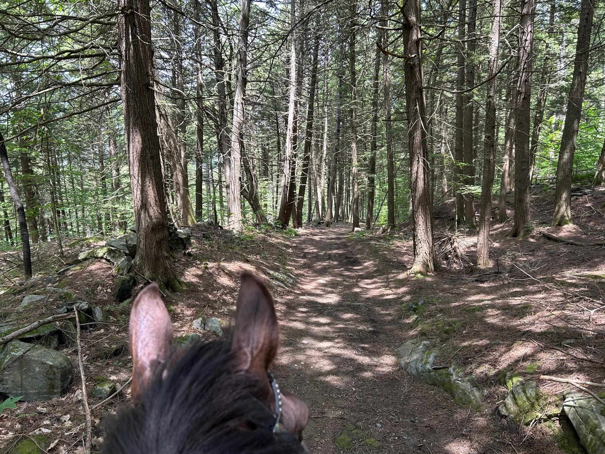 320 West Rowe Hill Road West Windsor, VT 05037 - Photo 19 of 19