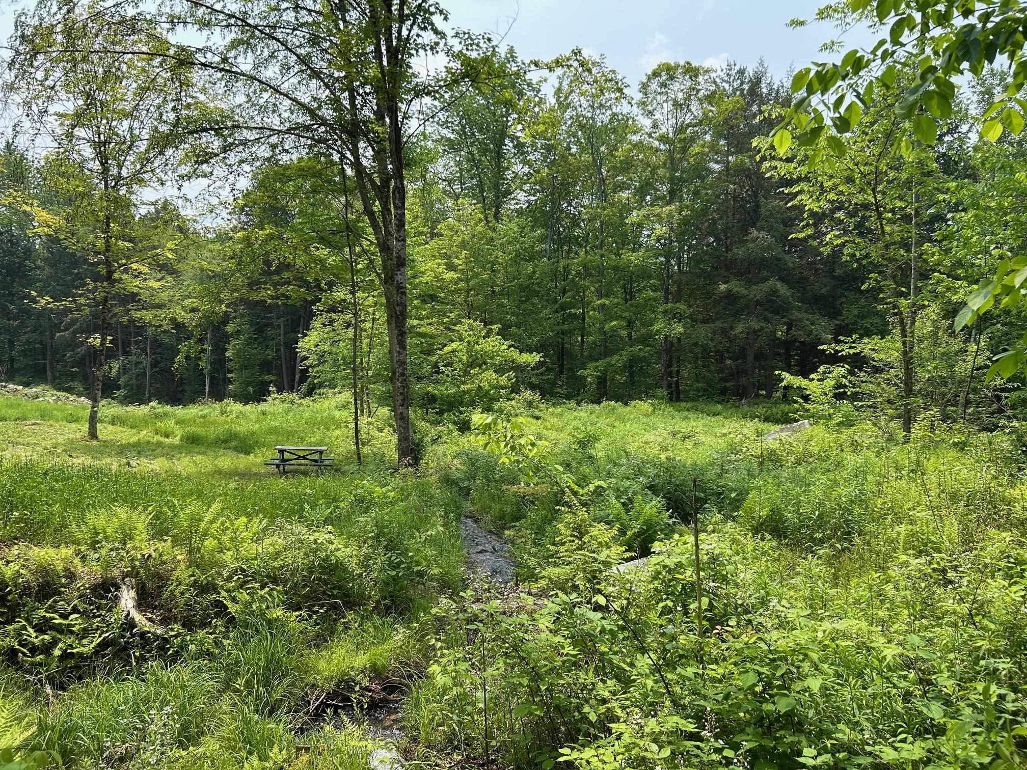 320 West Rowe Hill Road West Windsor, VT 05037 - Photo 4 of 19