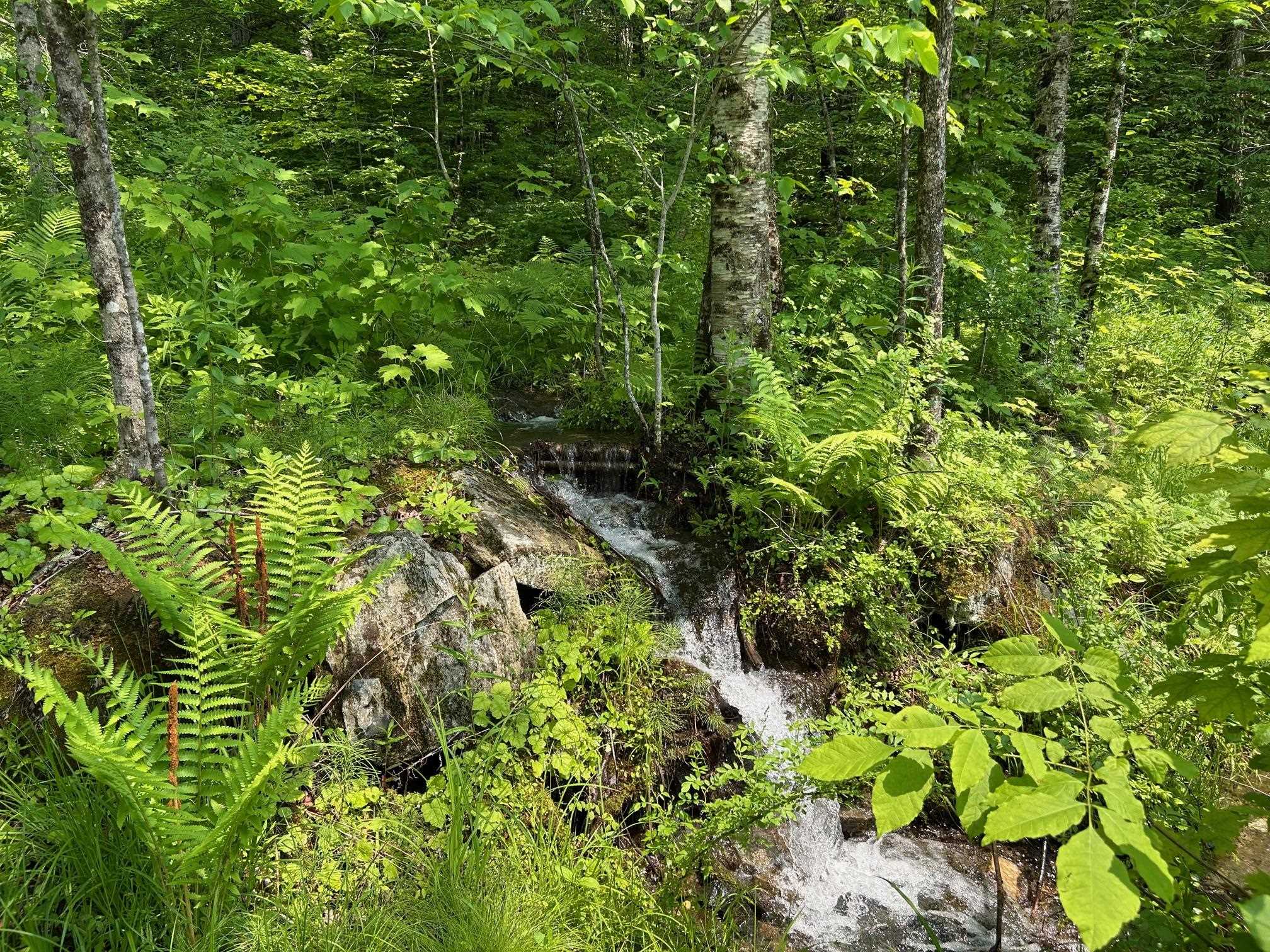 320 West Rowe Hill Road West Windsor, VT 05037 - Photo 5 of 19