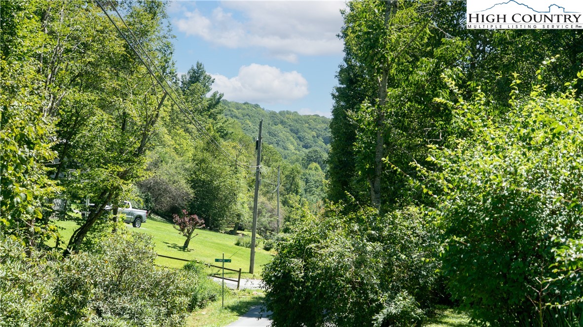489 Astor Cook Road Blowing Rock, NC 28605 - Photo 2 of 24