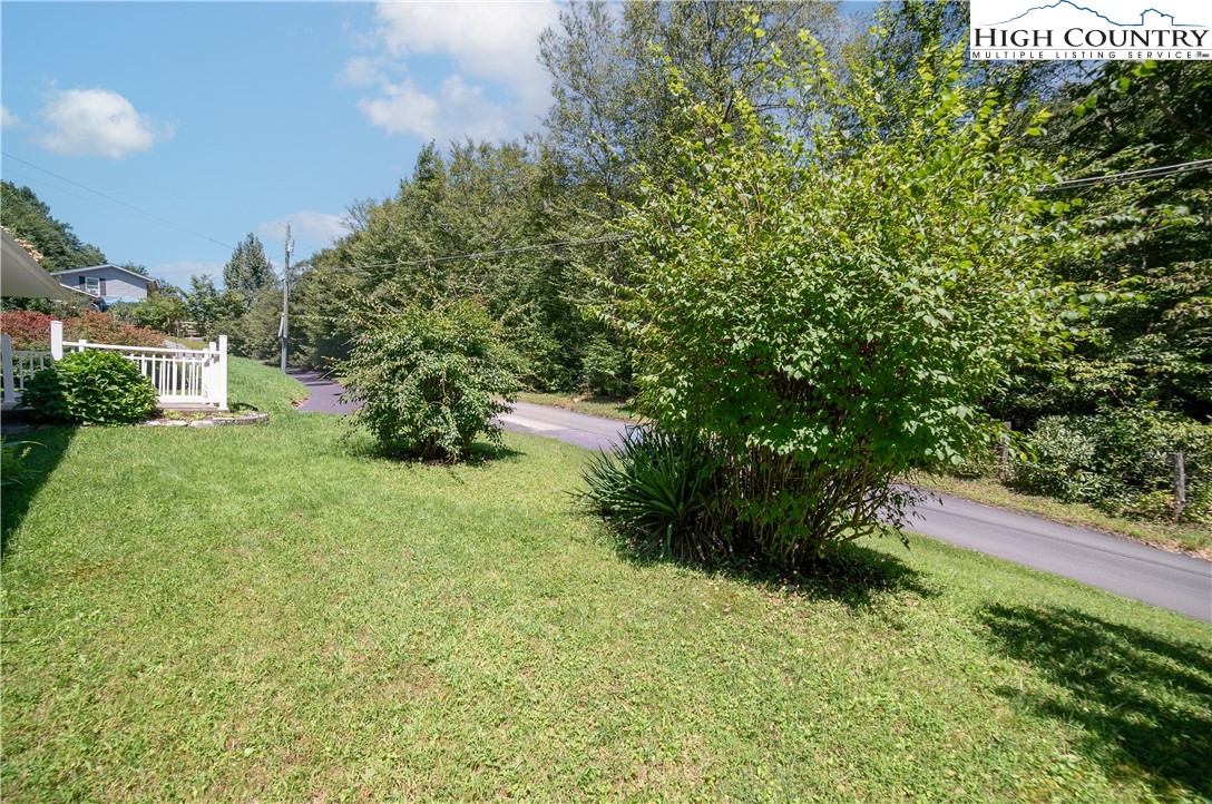 489 Astor Cook Road Blowing Rock, NC 28605 - Photo 4 of 24