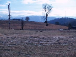 325 Shaw Road, Unit 18 Chuckey, TN 37641 - Photo 1 of 2 325 Shaw Road