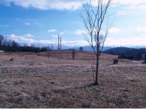 325 Shaw Road, Unit 18 Chuckey, TN 37641 - Photo 2 of 2 Photo 2