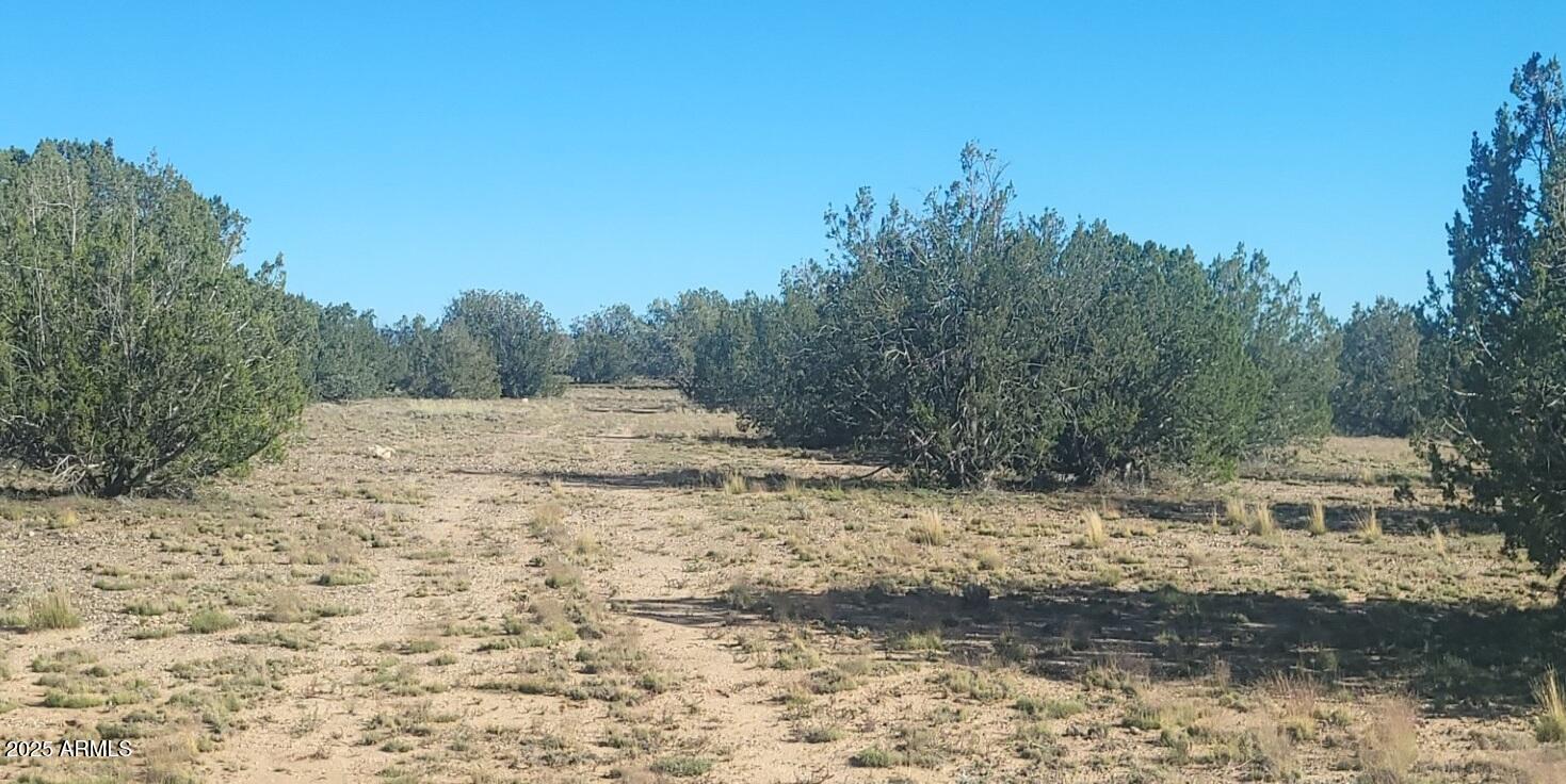 10 Acres N Tanner Road Northeast, Unit 17F Ash Fork, AZ 86320 - Photo 8 of 13 a view of a yard with a house