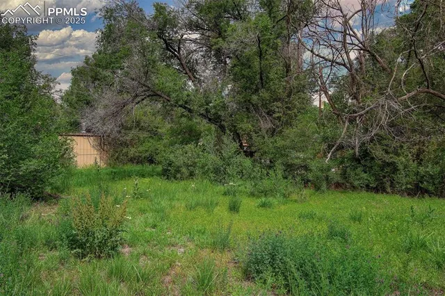a view of a lush green space