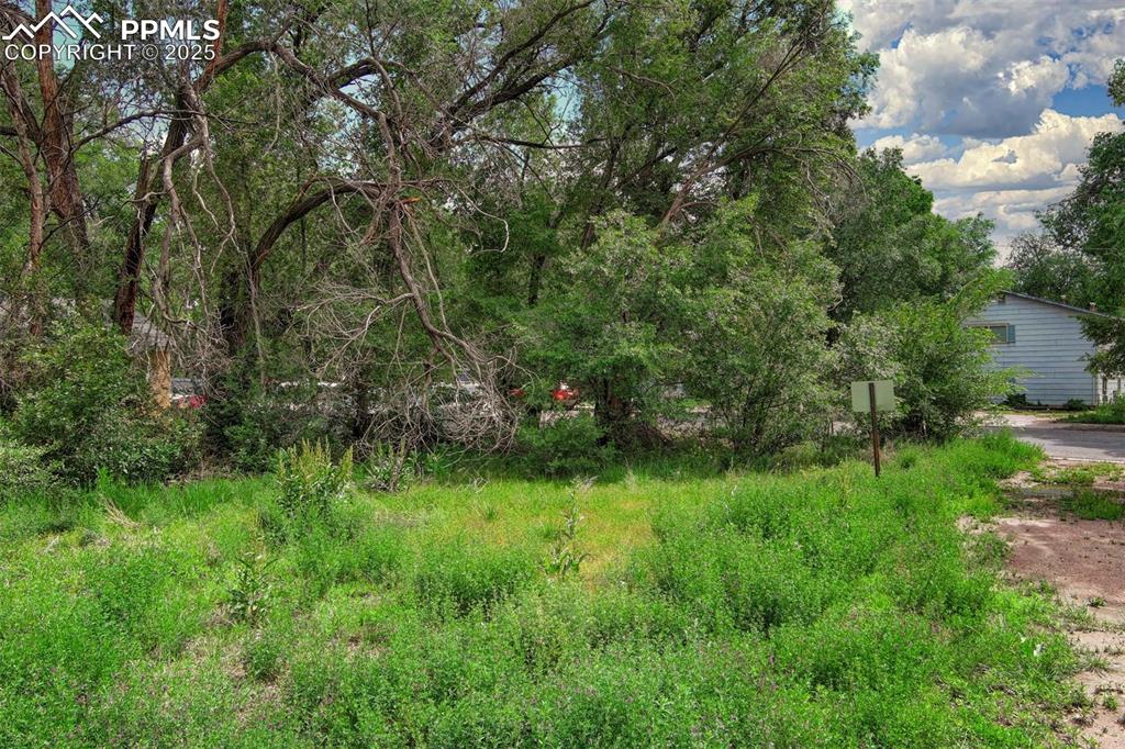 508 Sunset Road Colorado Springs, CO 80909 - Photo 6 of 11 a view of a lush green space