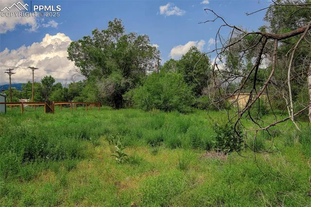 a view of a field of grass and trees