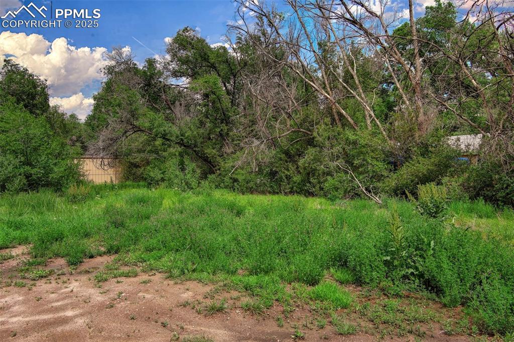 508 Sunset Road Colorado Springs, CO 80909 - Photo 8 of 11 a view of a yard with plants and a bench