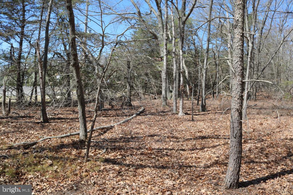351 Shaws Mill Road Cedarville, NJ 08311 - Photo 25 of 84