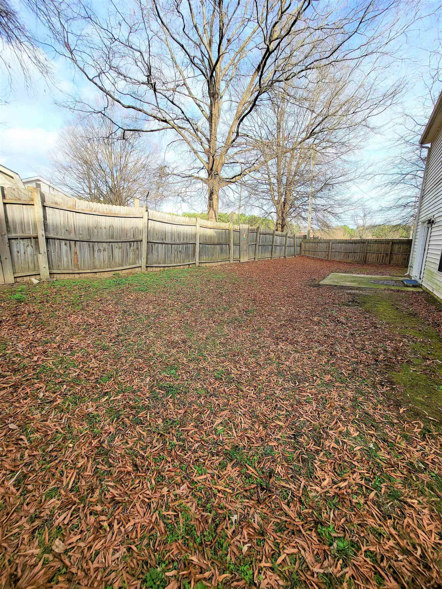 4237 Palafox Court Raleigh, NC 27604 - Photo 20 of 20 Photo 20