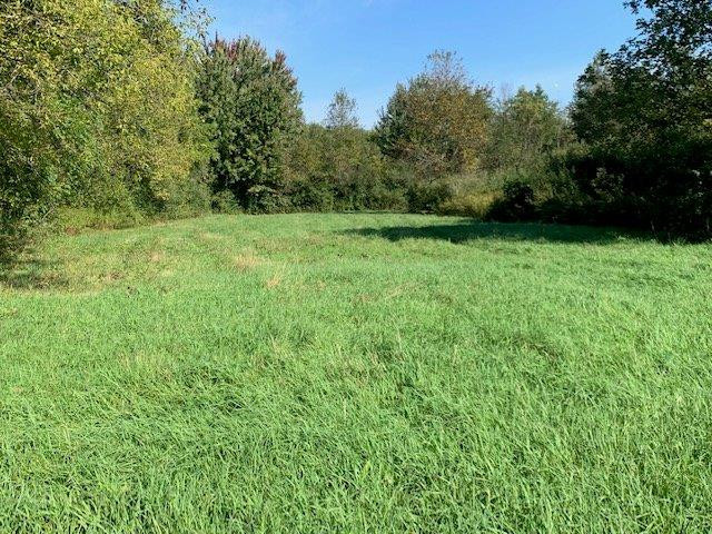 10475 Platt Road Milan, MI 48160 - Photo 4 of 10 Photo 4