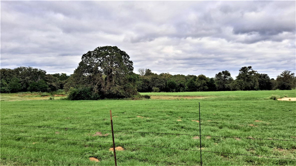 09 Cr 322 Road Rockdale, TX 76567 - Photo 1 of 1