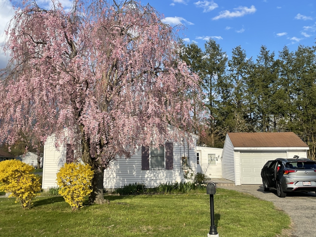 57 Rochford Circle Springfield, MA 01128 - Photo 2 of 25