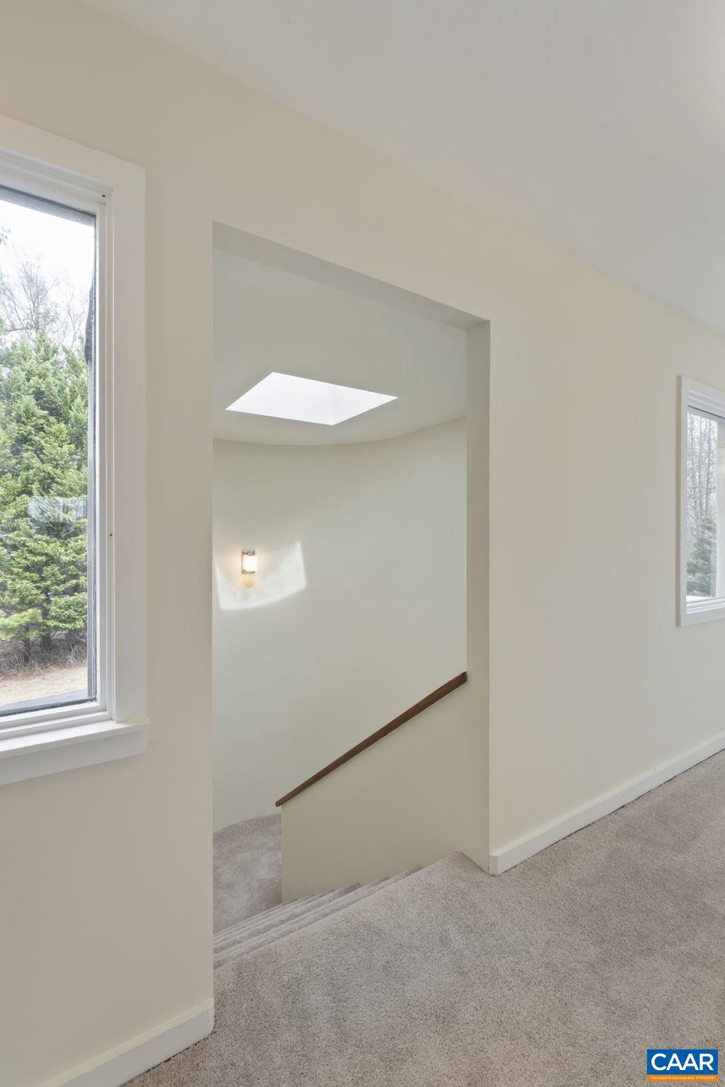 1777 Lambs Road Charlottesville, VA 22901 - Photo 29 of 56