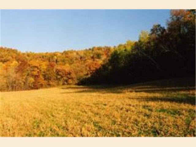 Xxx Xxx Doebbert Road Cochrane, WI 54622 - Photo 1 of 1 Gallery Image 1