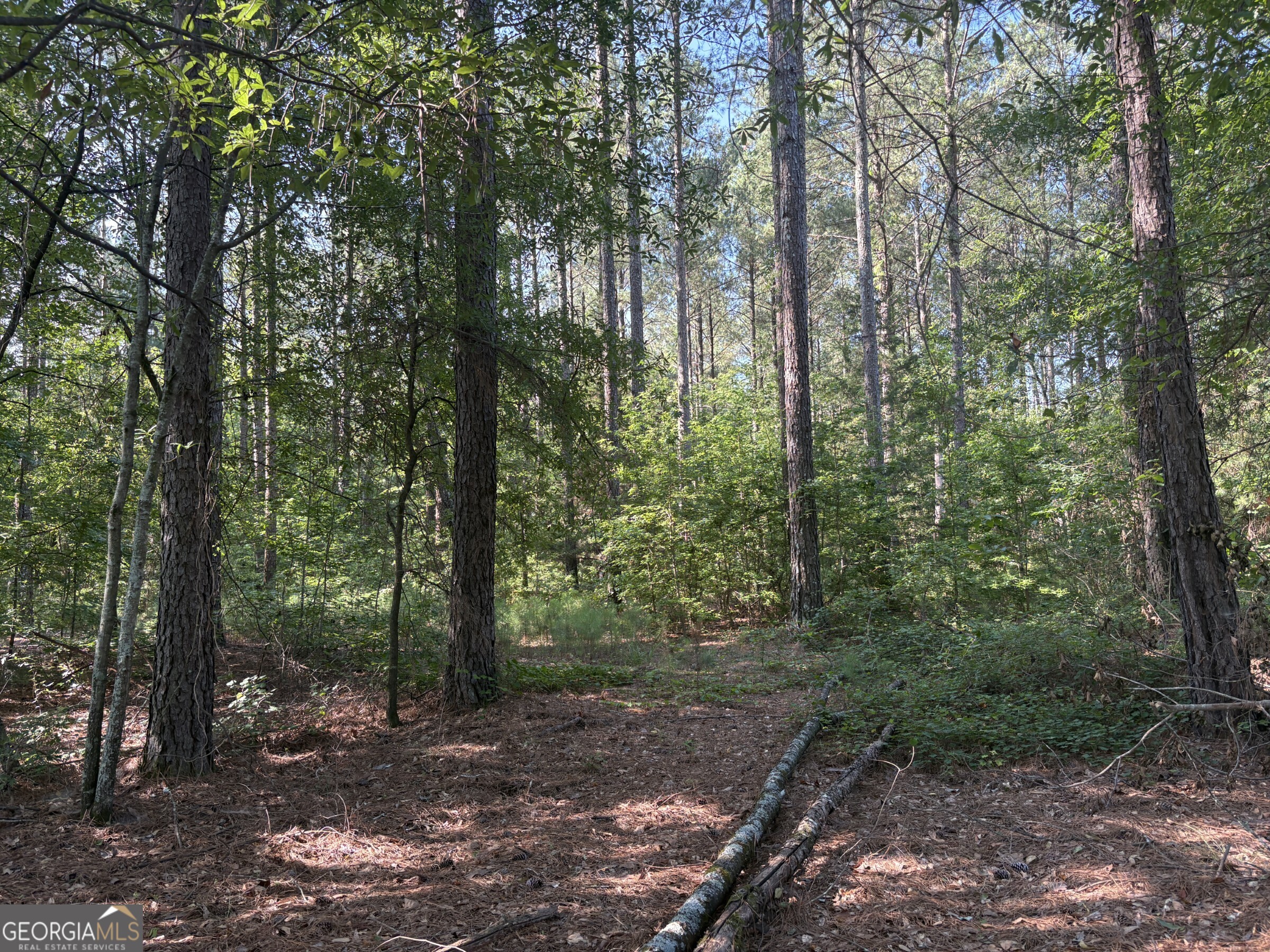 41 Elton Stewart Road Carlton, GA 30627 - Photo 2 of 12