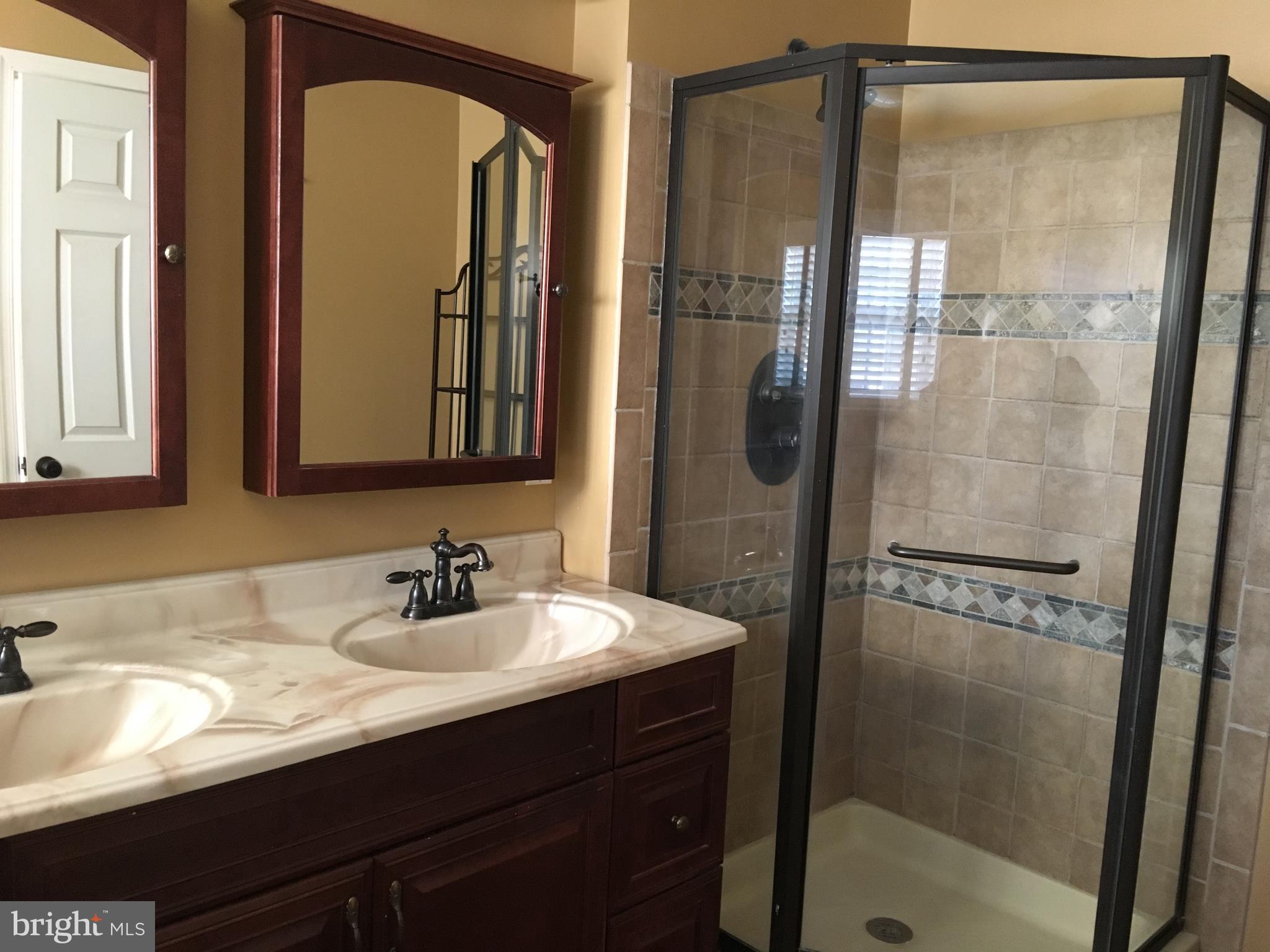 109 Sentry Ridge Smithsburg, MD 21783 - Photo 2 of 24 Bath(Master) Double vanity and large corner shower