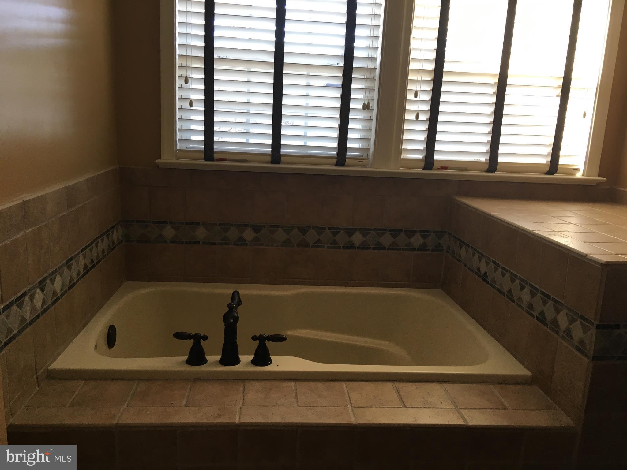 109 Sentry Ridge Smithsburg, MD 21783 - Photo 3 of 24 Bath (Master) Soaking tub