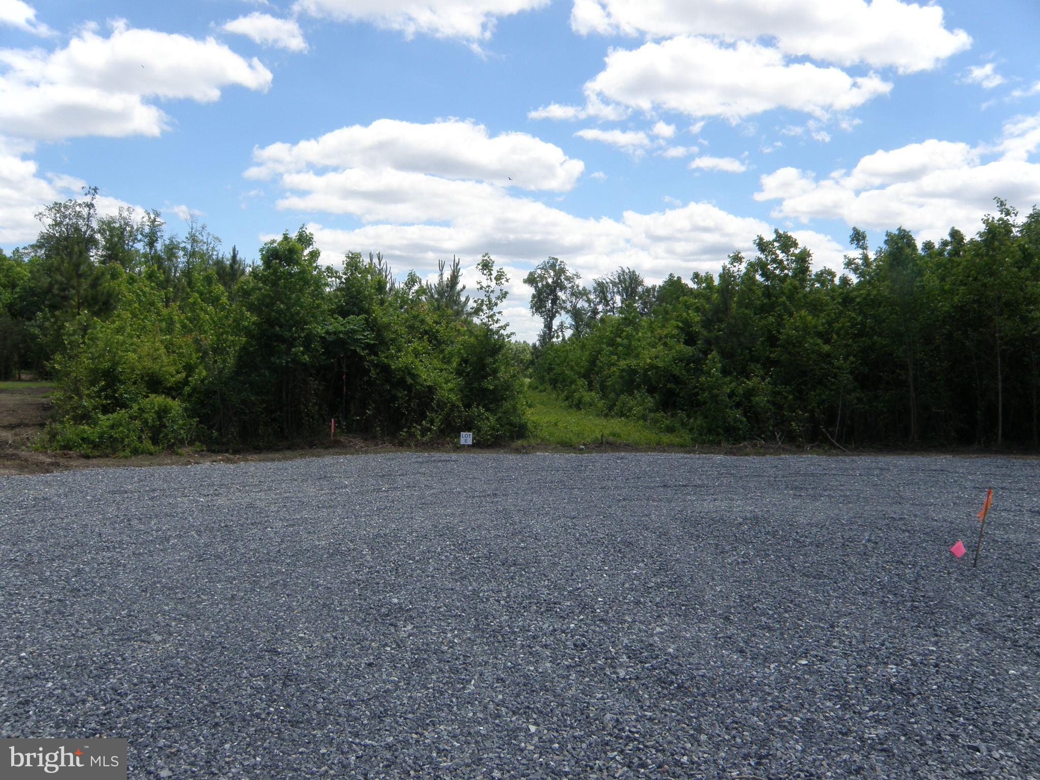 Lot E Lot E 133-9.00-9.16 Road Georgetown, DE 19947 - Photo 3 of 5 a view of a big yard with plants and trees