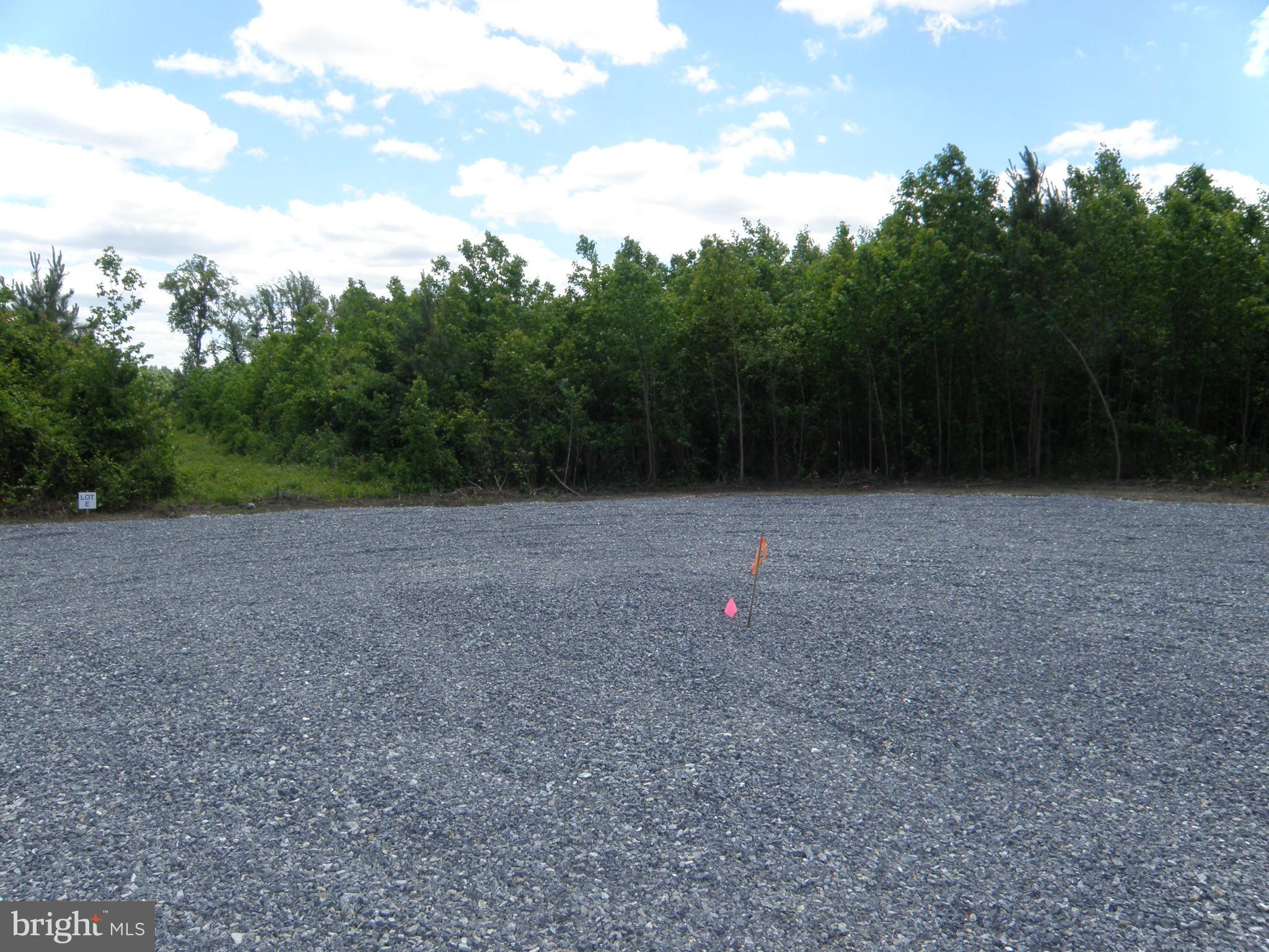 Lot E Lot E 133-9.00-9.16 Road Georgetown, DE 19947 - Photo 4 of 5 a view of a field with trees in the background