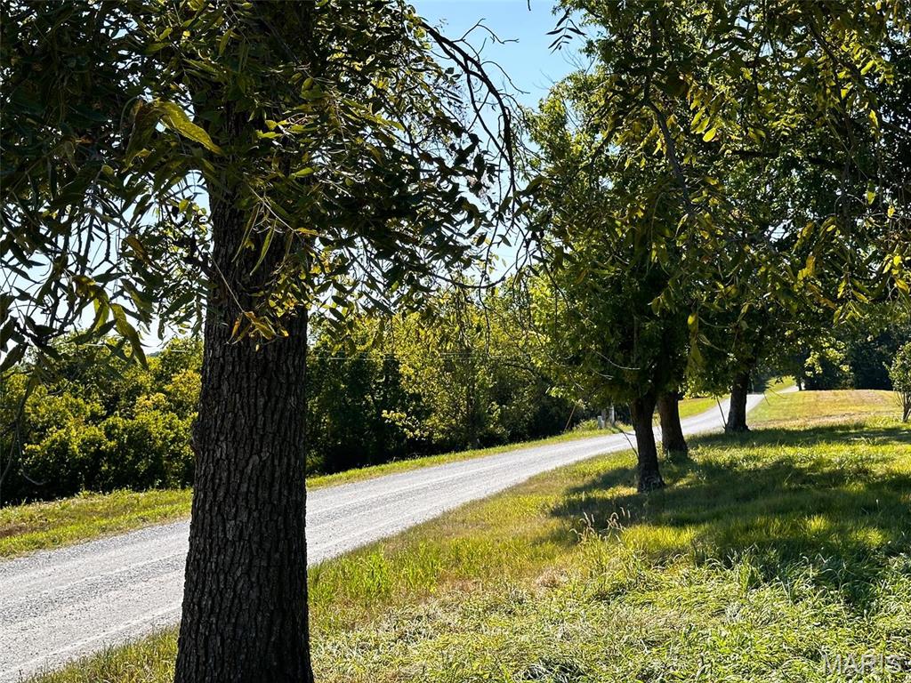 1735 Tickridge Road Elsberry, MO 63343 - Photo 4 of 17