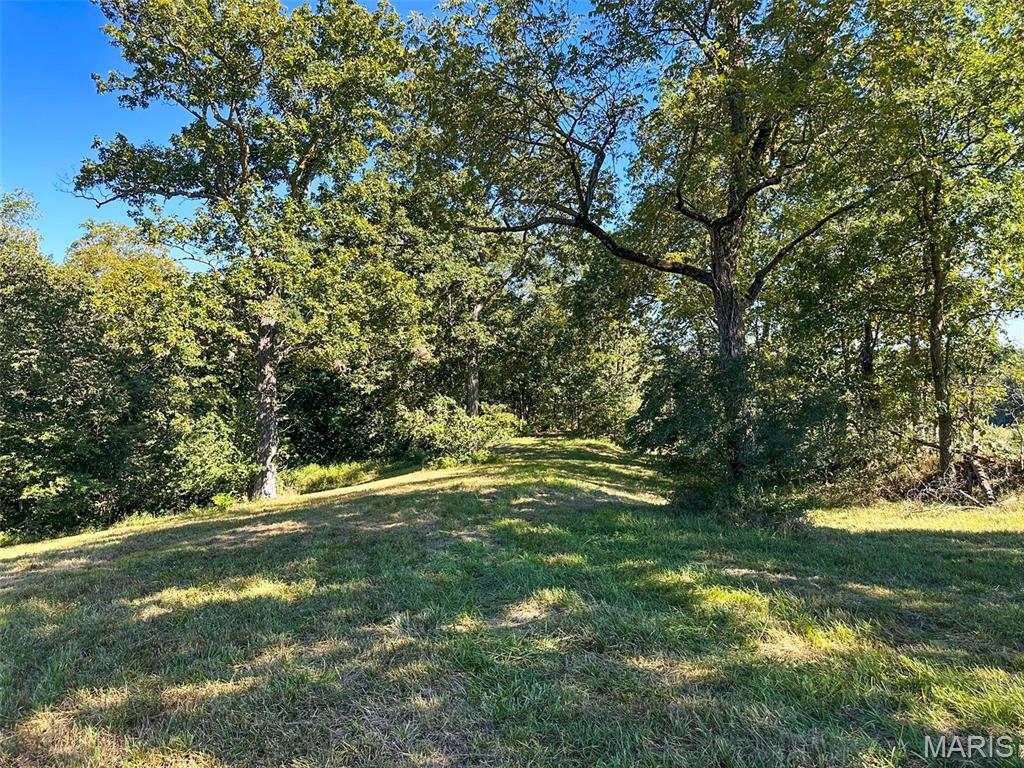 1735 Tickridge Road Elsberry, MO 63343 - Photo 5 of 17