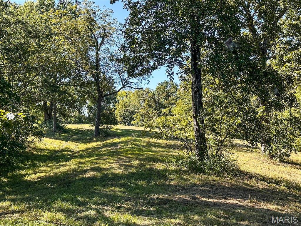 1735 Tickridge Road Elsberry, MO 63343 - Photo 7 of 17