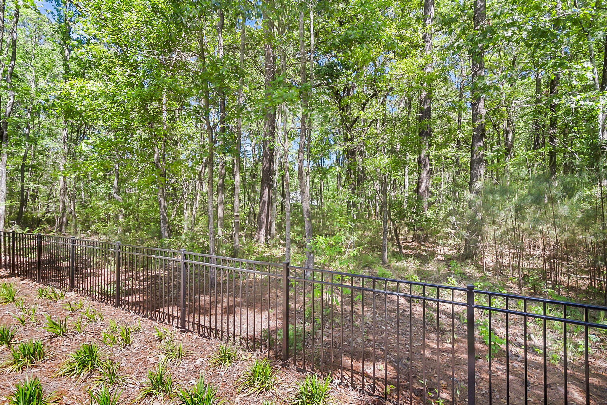 6016 Wild Azalea Road Summerville, SC 29483 - Photo 67 of 98 CREM - 6016 Wild Azalea-10