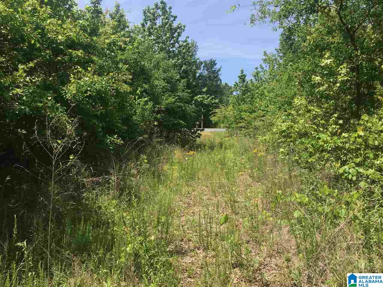 Firehouse Road, Unit 21 Goodwater, AL 35072 - Photo 9 of 21