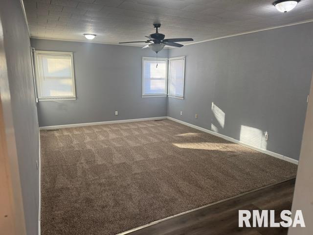 411 East 7th Street Delavan, IL 61734 - Photo 23 of 25