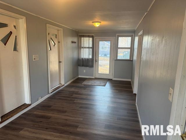 411 East 7th Street Delavan, IL 61734 - Photo 9 of 25