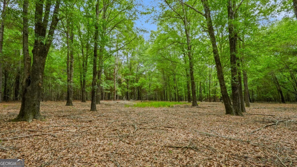 0 River Road Waynesboro, GA 30830 - Photo 10 of 37