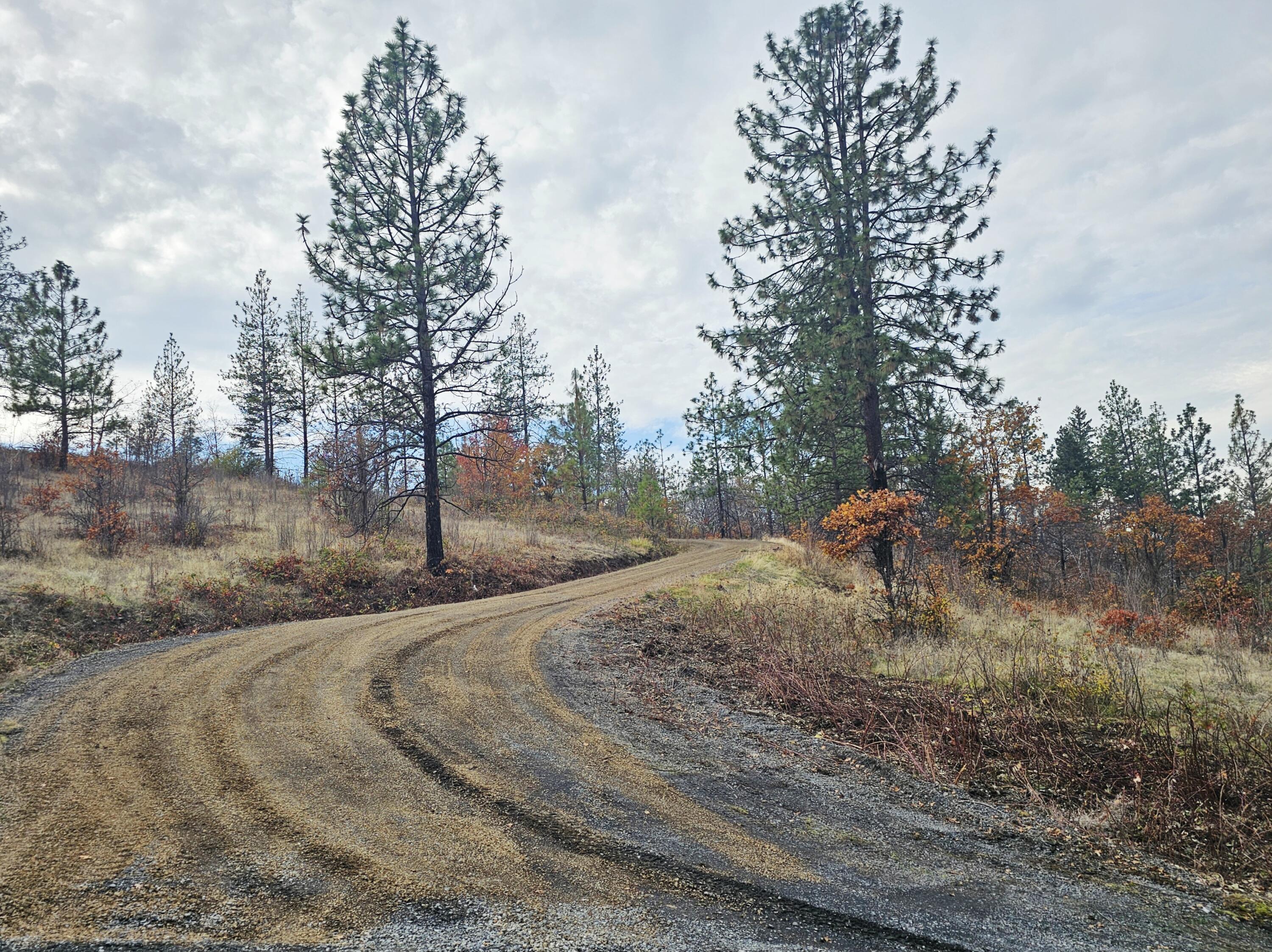 2162 Butte Falls Highway Eagle Point, OR 97524 - Photo 7 of 63 7 Driveway