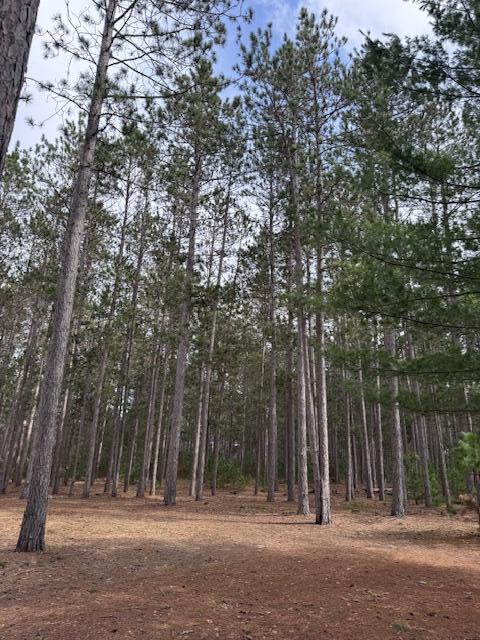 22440 11 Mile Road Reed City, MI 49677 - Photo 4 of 16 View
