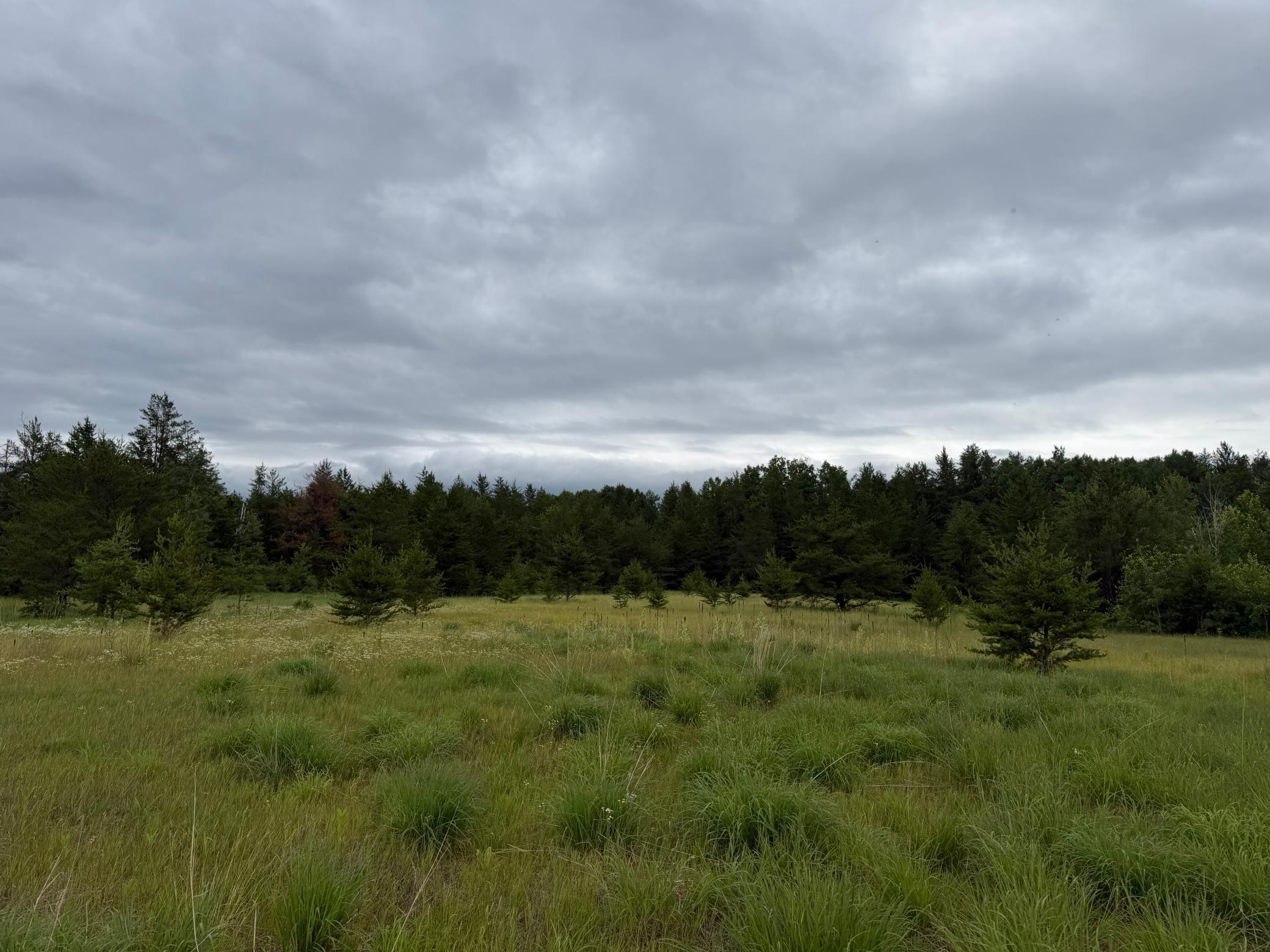 Tbd 350th Street Sebeka, MN 56477 - Photo 77 of 100