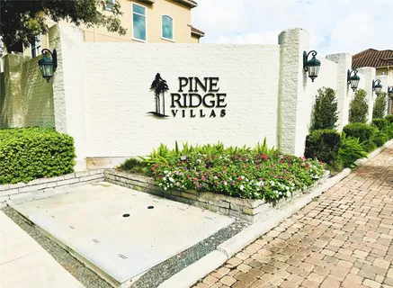 a view of a street with potted plants