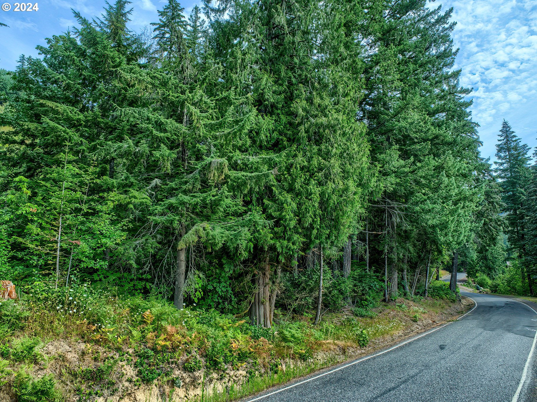 Bear Creek Road Carson, WA 98610 - Photo 5 of 8