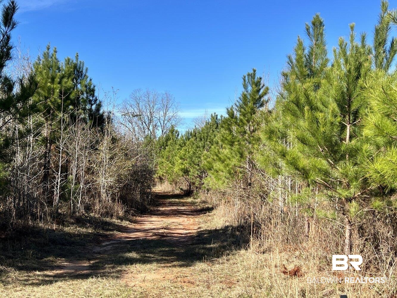 0 Highway 84 Evergreen, AL 36401 - Photo 34 of 50