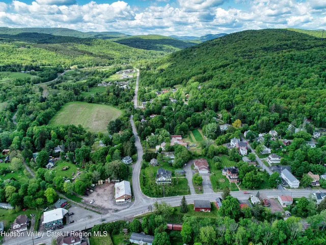 a view of a garden with a flower
