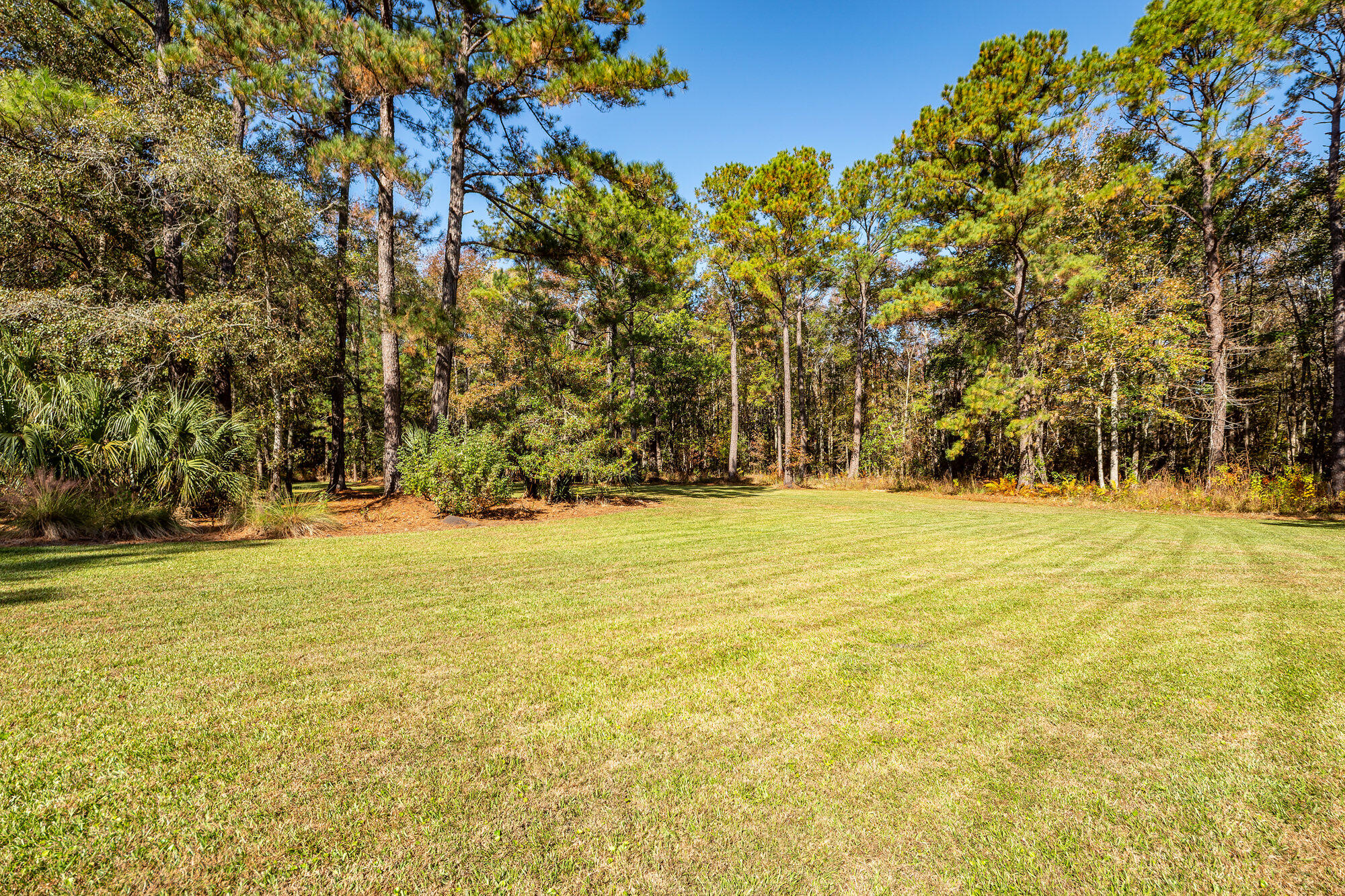 5950 Lowell Reed Road Ravenel, SC 29470 - Photo 104 of 120 101