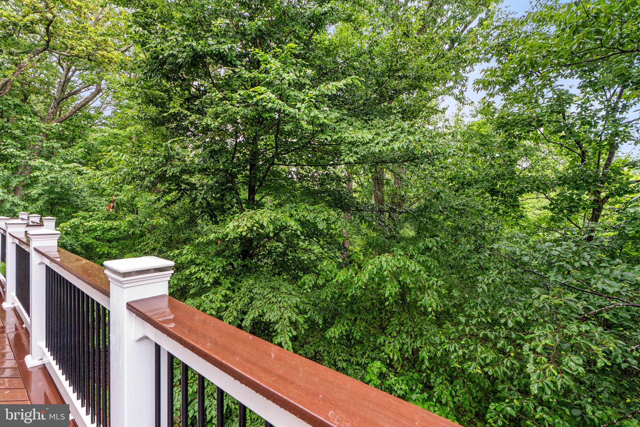 6822 West Shavano Road New Market, MD 21774 - Photo 57 of 59 Deck