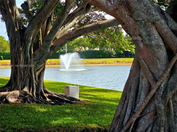 a view of a garden with a tree
