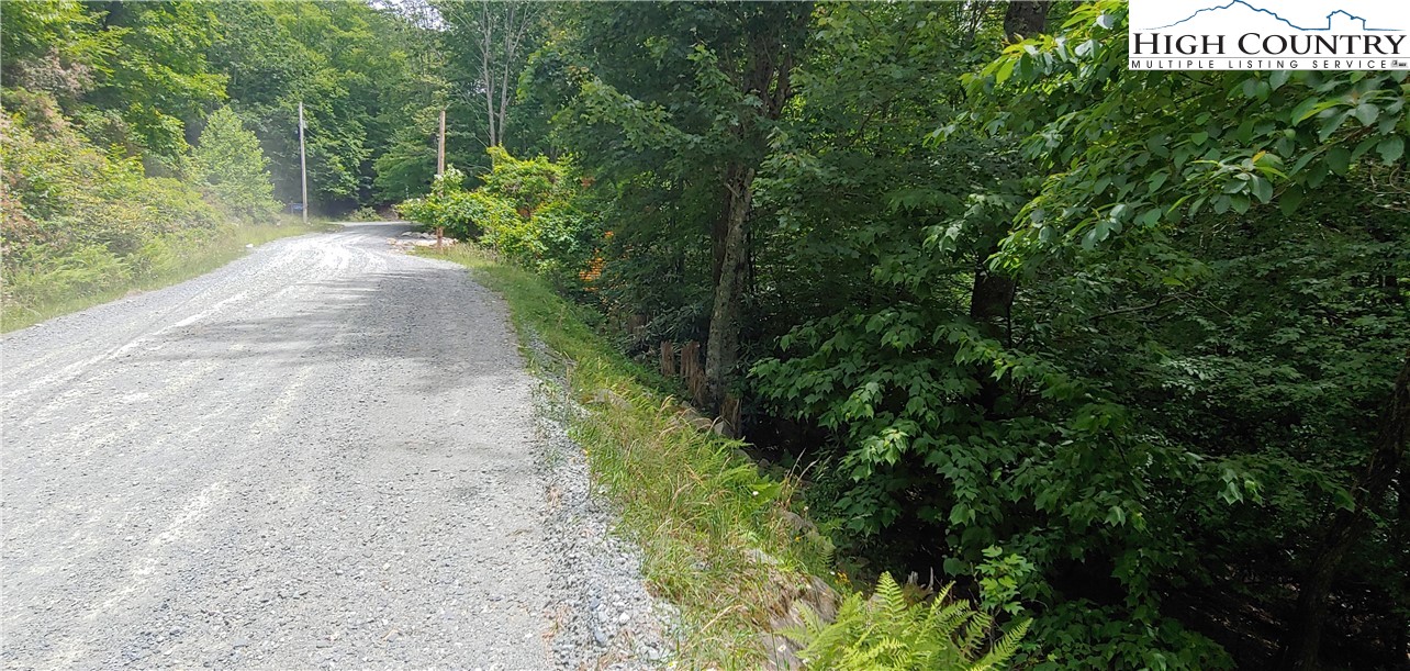 311 Jackpine Road Beech Mountain, NC 28604 - Photo 1 of 7 a view of a street with trees and bushes