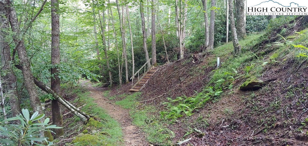311 Jackpine Road Beech Mountain, NC 28604 - Photo 7 of 7 a view of a forest with trees
