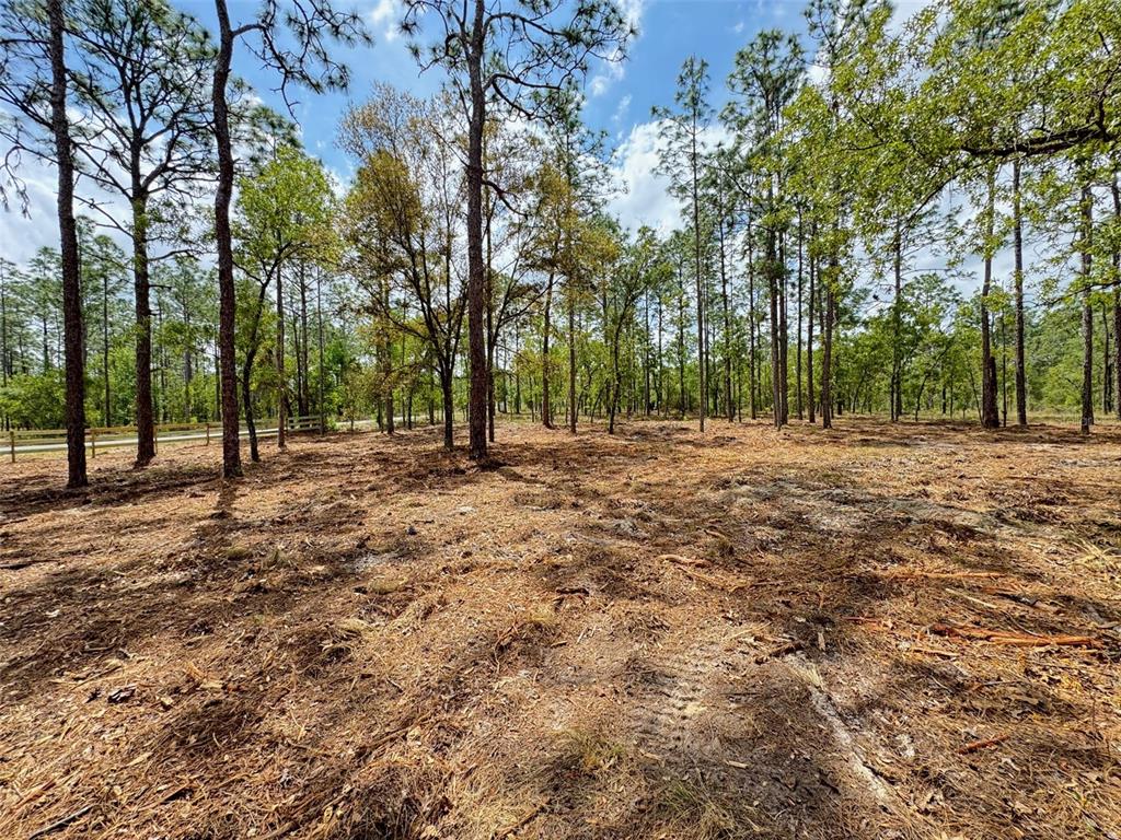 Southwest Deer Park Heights Road Dunnellon, FL 34431 - Photo 5 of 8